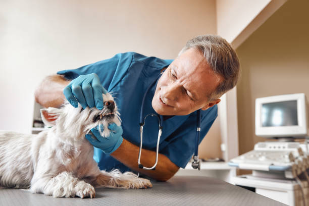 Best Emergency Tooth Extraction in Wharton, TX